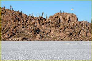 Icahuasi Island on Salar de Uyuni
