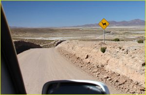 Bolivian Road hazard