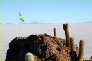 Isla Incahuasi (del Pescada) on Salar de Uyuni