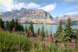Banff National Park - Bow Lake With The Crowfoot Mountain