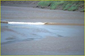 Tidal wave on River Herbert, Nova Scotia