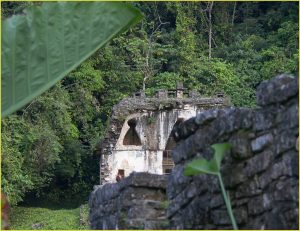Temple of the Foliated Cross