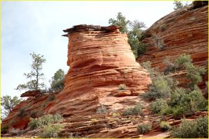 Near Checkerboard Mesa, Zion National Park