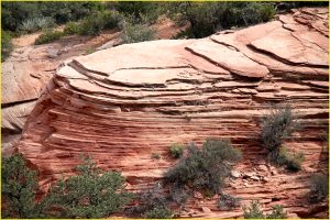 Near Checkerboard Mesa, Zion National Park