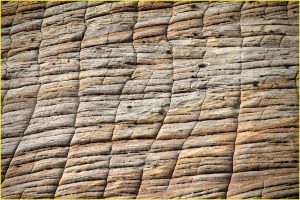 Checkerboard Mesa, Zion National Park