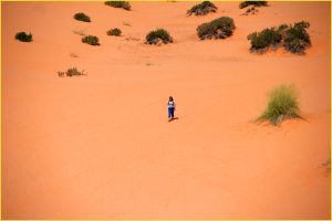 In Coral Pink Sand Dunes State Park