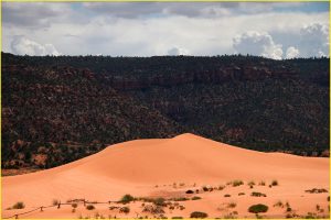 Coral Pink Sand Dunes State Park