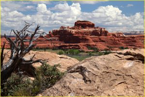 Canyonlands National Park, The Needles Area