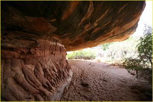 Canyonlands National Park, The Needles Area