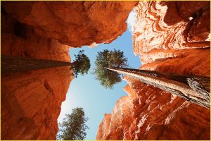On Navajo Loop, Bryce Canyon National Park