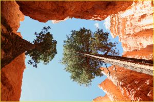 On Navajo Loop, Bryce Canyon National Park