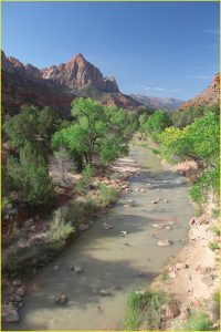 In Zion National Park