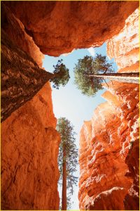 On Navajo Loop Trail, Bryce Canyon National Park