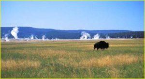 Lower Geyser Basin, Yellowstone NP, Wyoming