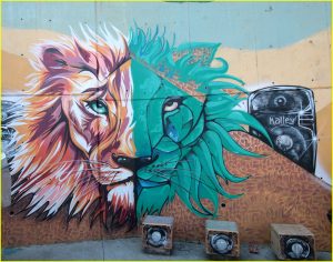 Comuna 13, Medellin