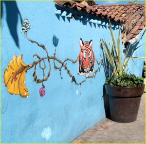 Candelaria, Bogota