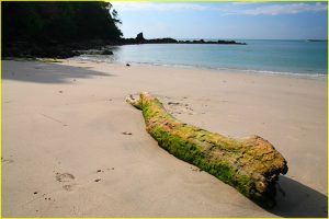 Beach in Manuel Antonio National Park