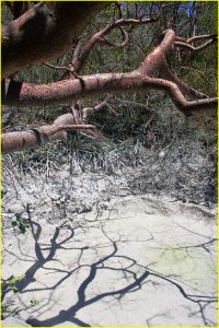 Boiling mud pools in Rincon de la Vieja National Park