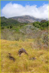 In Rincon de la Vieja National Park