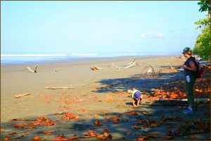 Miles of empty, pristine beach near Dominical