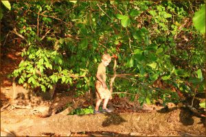 Exploring