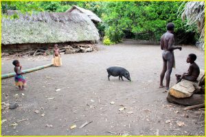 In Lowinio "kustom" village (Yakel tribe), Tanna, Vanuatu. This is a "live" village, although tribe people dress-up and dance for tourists