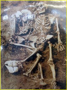 Gruesome sacrificial burial in Vanuatu (see next image)