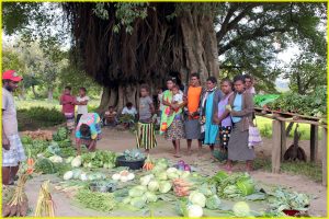 "Under the tree" roadside market on Tanna, Vanuatu