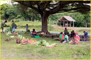 Another, "under the tree" roadside market on Tanna, Vanuatu
