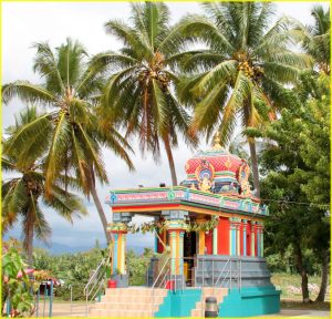Part of Sri Siva Subramaniya Swami temple in Nadi, Fiji