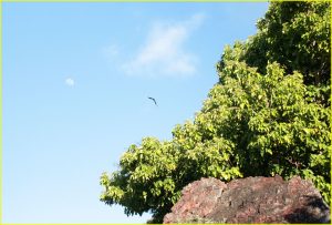 Flying to the moon, Vanua Levu island, Mamanuca chain, Fiji