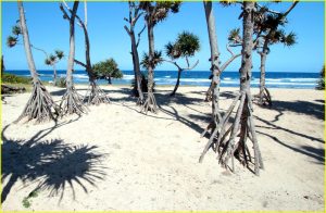 Beach near Resolution bay on Tanna island, Vanuatu