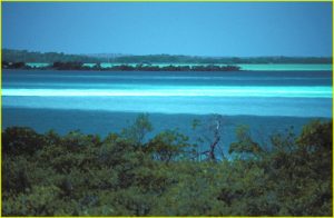 Sea
