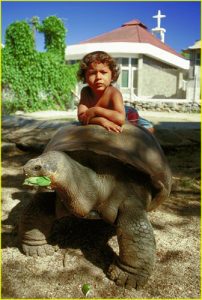 Pepe with his master - giant Galápagos tortoise in Puerto Baquerizo Moreno (Isla Cristobal)