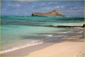 Rabbit Island