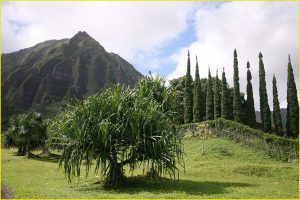 East coast of Oahu