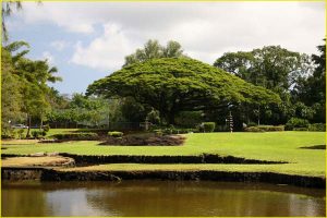Lili'uokalani Park in Hilo, Big Island