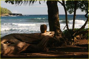 Koki Beach near Hana, Maui