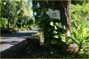 Road sign near Hana, Maui