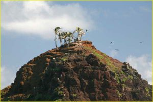 Alau Island near Hana, Maui