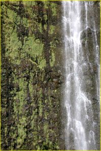 Waimoku Falls in Oheo Gulch near Hana, Haleakala National Park, Maui