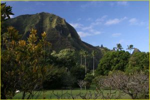 Landscape near Hanalei Bay, Northern Kauai
