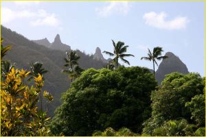 Landscape near Hanalei Bay, Northern Kauai