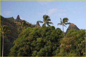 Landscape near Hanalei Bay, Northern Kauai