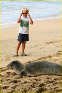 With a monk seal, Kee Beach, Kauai