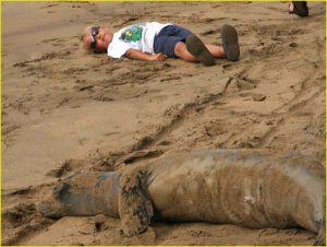 With a monk seal, Kee Beach, Kauai