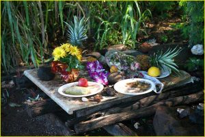 Feeding the Gods near Waimea, Oahu