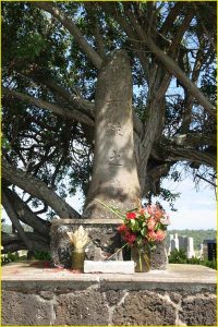 Japanese cemetery on Kauai