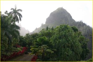 Northern Kauai coast