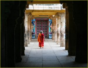In the Sri Ranganathaswamy Temple in Srirangam near Trichy (Tiruchirappalli), Tamil Nadu